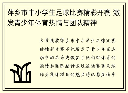 萍乡市中小学生足球比赛精彩开赛 激发青少年体育热情与团队精神