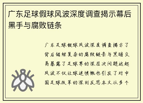 广东足球假球风波深度调查揭示幕后黑手与腐败链条